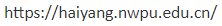 1730382985491.png